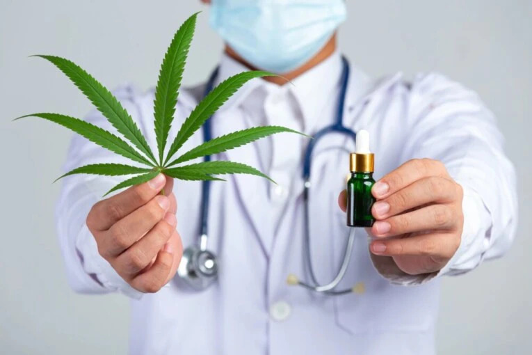 Cannabis Medis Perkembangan dalam Dunia Kesehatan